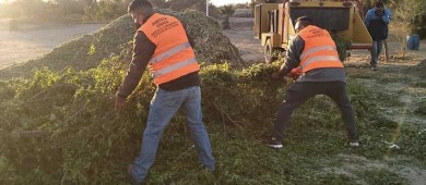 90 árboles de navidad se han recibido para ser triturados en el Eco Parque
