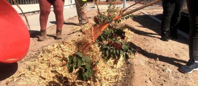 Aplica Servicios Públicos 600 kilos de composta en la BENU