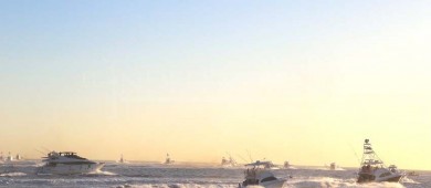 “La pesca deportiva del dorado debe permanecer, total rechazo a la iniciativa para la liberación comercial de la especie”: alcalde Oscar Leggs Castro