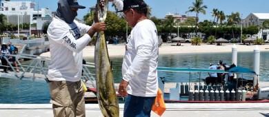 Pronostican graves afectaciones, no solo para BCS, de liberar el dorado a la pesca comercial