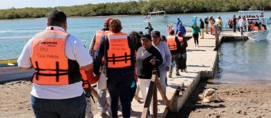 Al menos 100 ejemplares de ballena gris se han contabilizado en Puerto Chale