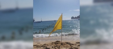 Exhorta Zofemat Los Cabos a estar alerta con los semáforos de banderas en las playas