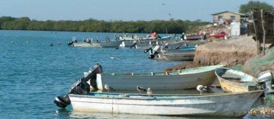 Ya operan 10 restaurantes en Puerto Chale