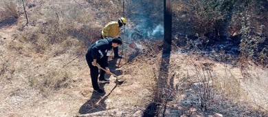 Combaten cuerpos de emergencia, incendio forestal en poblado de San Pedro