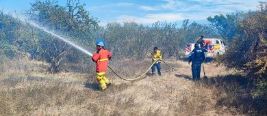 Combaten cuerpos de emergencia, incendio forestal en poblado de San Pedro