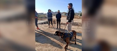 36 acciones de búsqueda se han realizado en BCS, en el primer bimestre de 2023