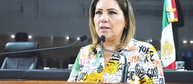 Diputada local propone que en Los Cabos se implemente el programa “Hoy No circula”