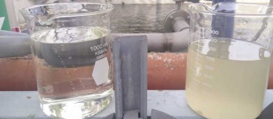 Contempla OOMSAPAS Los Cabos, aumentar la eficiencia en los procesos de tratamiento de agua para las Plantas de Tratamiento de Aguas Residuales