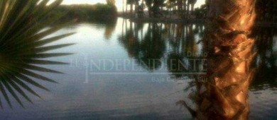 Tenemos que cuidar lo que queda del estero de SJC: Gobernador