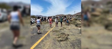 Camión de carga tiró forraje en vialidad de SJC