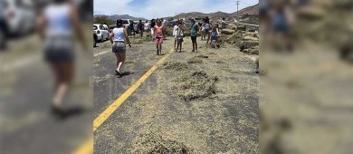 Camión de carga tiró forraje en vialidad de SJC