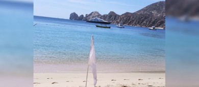 Exhorta Zofemat a extremar precauciones por presencia de “aguamalas” en algunas playas de Los Cabos
