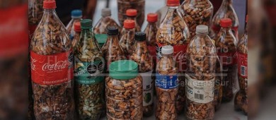 Implementará Ayuntamiento de La Paz programa para la gestión de Residuos de Manejo Especial