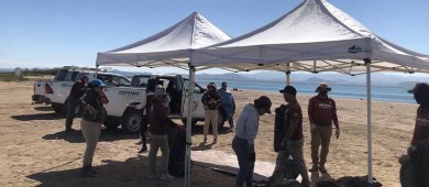 73.5 kilos de residuos fueron recolectados de playa El Comitán