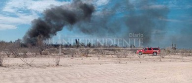 Sequías y negligencia ciudadana, causas de incendios forestales en BCS
