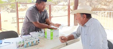 Dependencias municipales realizan jornada médica-social en El Sauzal