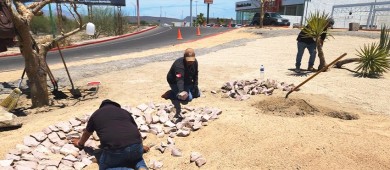 Embellece Servicios Públicos La Paz camellón de la curva del libramiento Daniel Roldán