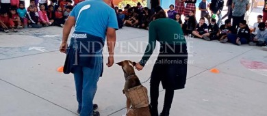 Brinda CEMAC pláticas en escuelas de La Paz sobre el maltrato animal