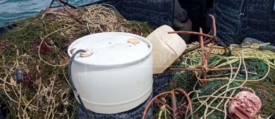 Retenidas artes de pesca en Comondú por incumplir periodo de veda