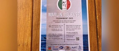 Liberar a especies capturadas como marlin y dorado, el futuro de los torneos de pesca deportiva en Los Cabos