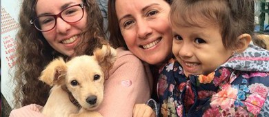 Maltrato animal no disminuirá con penas más largas: AnimaNaturalis