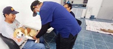 Realiza CEMAC Campaña de Esterilización Canina y Felina en colonia Agustín Olachea