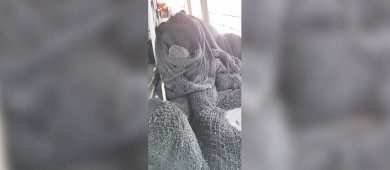 FGR retira más de seiscientos metros de red pesquera que ocasionó daños al ecosistema marino en BCS