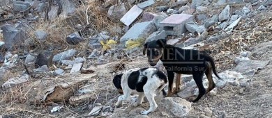 Ciudadanos reportan ausencia de personal de CEMAC ante llamados; pasa 1 semana y no aparecen