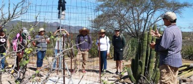 UABCS trabaja proyectos para el control de la erosión y recarga de acuíferos