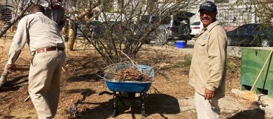 Llevan a cabo una jornada de limpieza en áreas verdes de Los Cabos