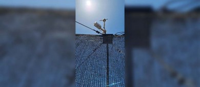 Atrapanieblas: una solución a la escasez de agua en el desierto costero