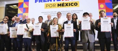 Sin funcionar, plataforma del Frente Amplio por México para recolectar firmas