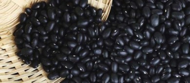 Senado alerta posible desabasto de frijol por sequía