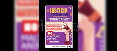 Convocan a manifestación por "Peluchín", el perrito que murió por maltrato