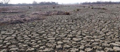 ¡Alerta! 76.07% del territorio afectado por falta de lluvias