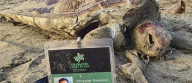 Reportan efectos del derrame petrolero en playas de Tabasco, Tamaulipas y Veracruz