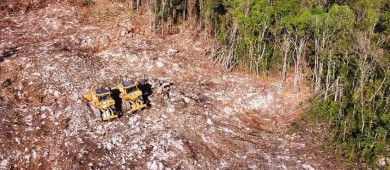 México comete ecocidio y etnocidio con la construcción del Tren Maya, acusa informe