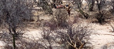 Encuentran una persona sin vida al sur de la ciudad