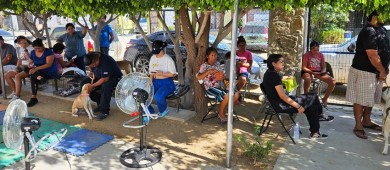 Salud municipal lleva a cabo jornadas de esterilización en SJC