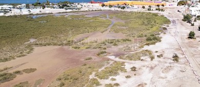 Sin conciencia… Vehículos 4x4 siguen dañando ecosistemas y manglares: Bióloga