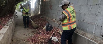 Realiza Servicios Públicos trabajos de limpieza en diferentes arroyos y canales de desagüe de la ciudad