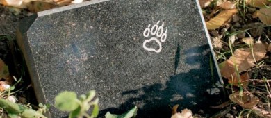 Enterrar mascotas en el jardín o en el patio es peligroso para las personas y el medio ambiente