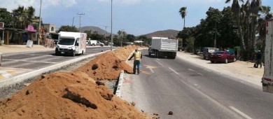Continúa Servicios Públicos con el programa “Camellones Choyeros” en El Pescadero