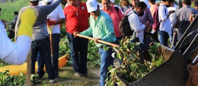 Ayuntamiento Los Cabos impulsa nuevas acciones para la conservación del Estero Josefino