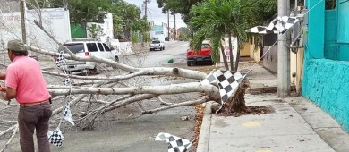 Continúan las labores de limpieza tras afectaciones de “Hilary” en Los Cabos