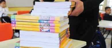 Beatriz Paredes se ausenta de evento del PRI tras comentarios de Alito