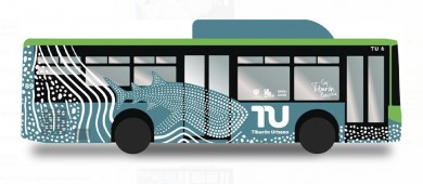 Sondeo revela que paceños están dispuestos a pagar 16 pesos por unidades nuevas con amenidades