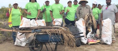 Participa Servicios Públicos en limpieza de humedales en el Mogote Ensenada de La Paz