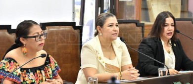 Lanzan convocatoria a la medalla al mérito “María Luisa Villarino”