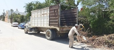 Continúa Servicios Públicos con las diversas actividades de limpieza en Los Cabos